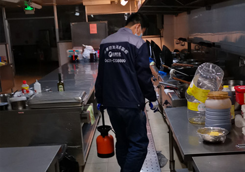 餐飲消殺除蟲