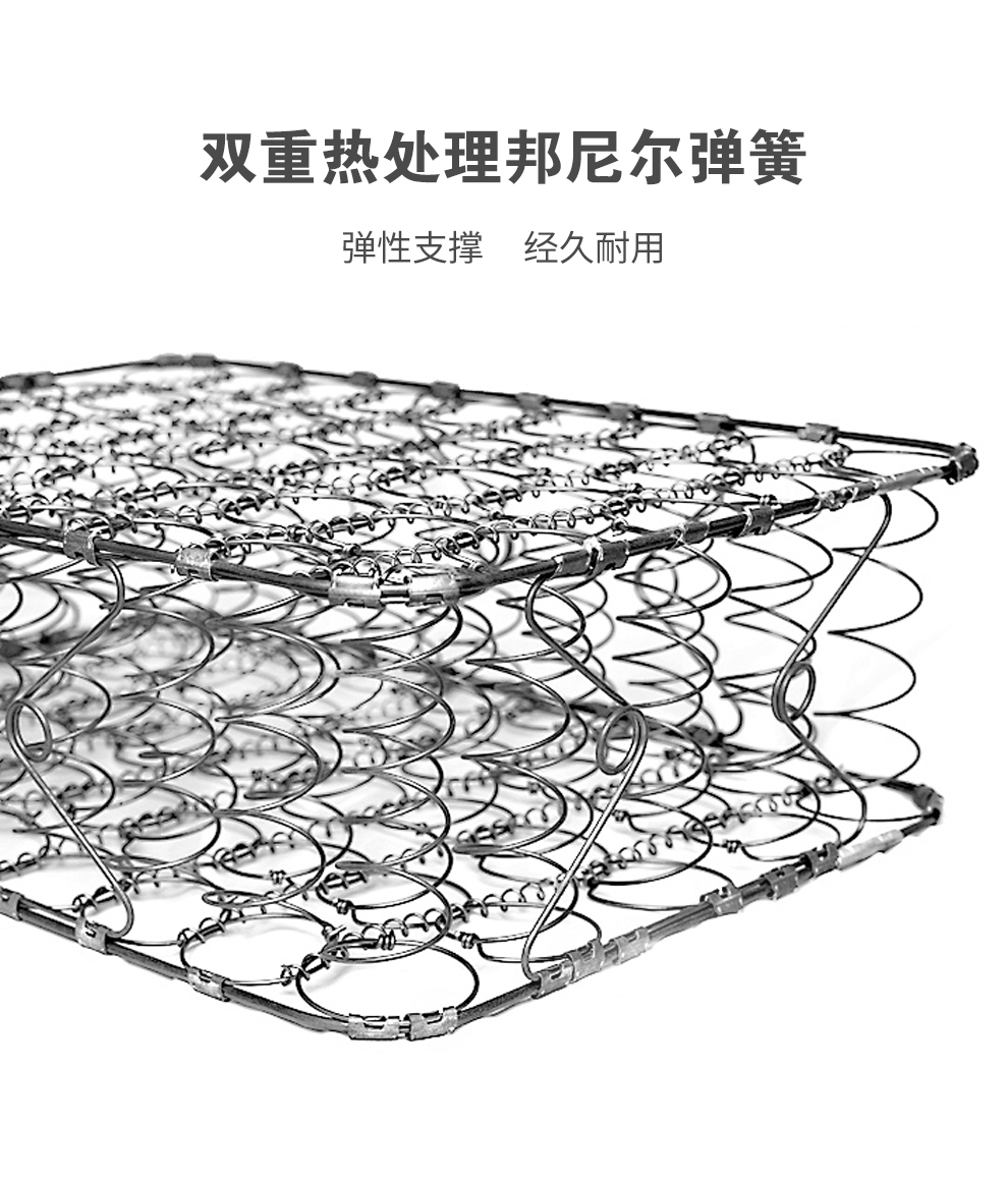 S5一品棕师_06.jpg