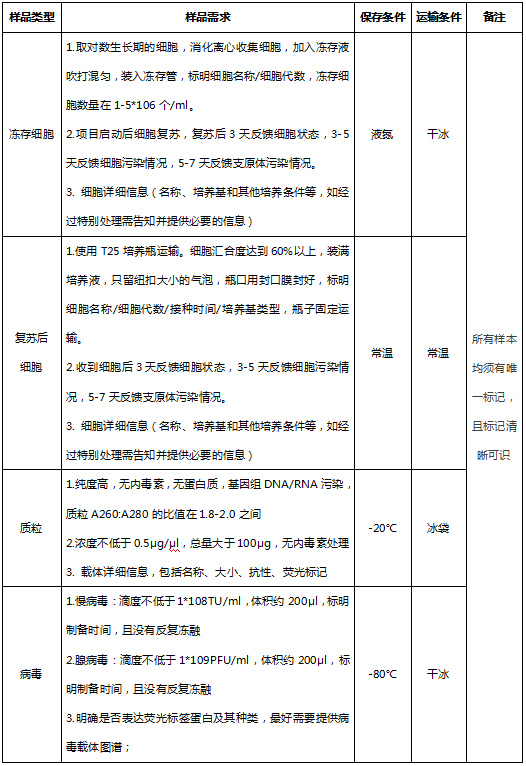 稳转细胞系的构建639.jpg