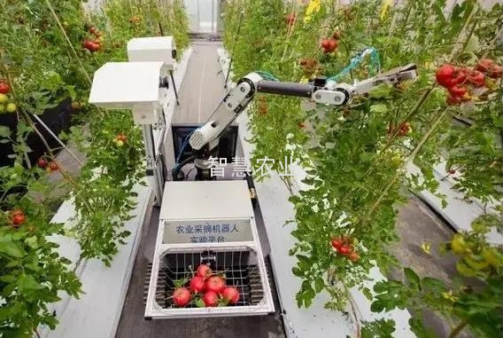 农业4.0-即将来临的智能农业时代