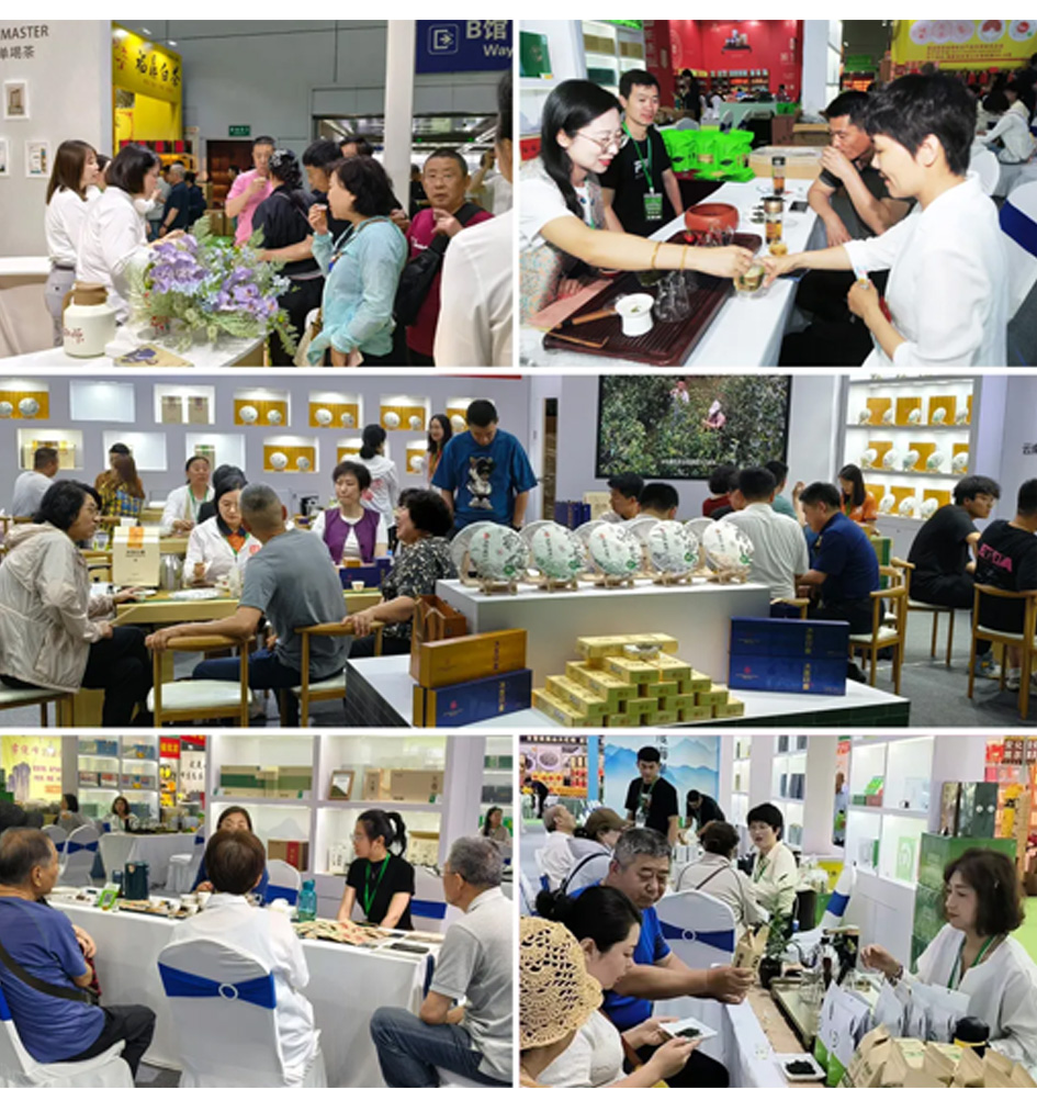 20250711114133_71568.jpg 7.jpg