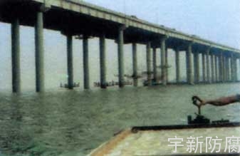 广东虎门大桥桥墩防腐