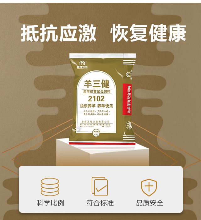 羊三健_03.jpg