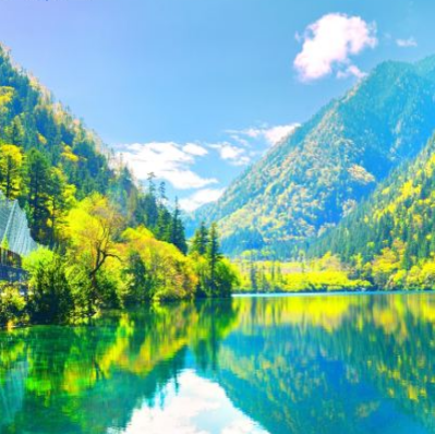 20201123105357_57198.png 微信图片_20201123095406.png