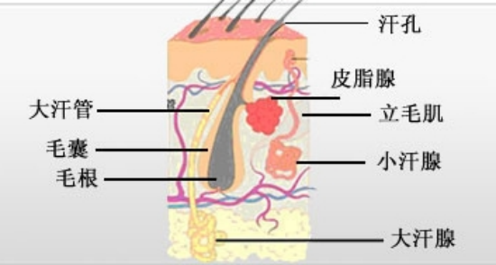 图片5(1).png