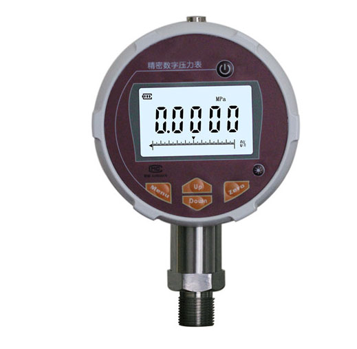 ZN-100精密数字压力表