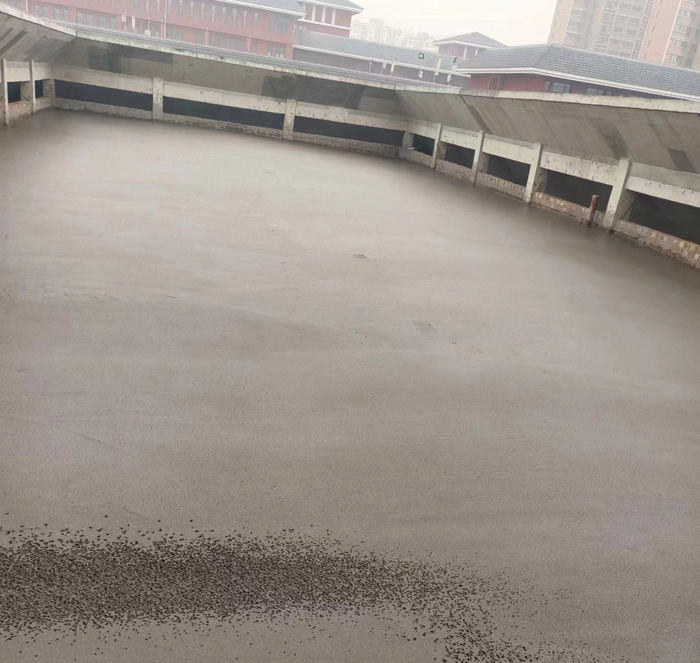 20241028180658_78175.jpg 5.jpg